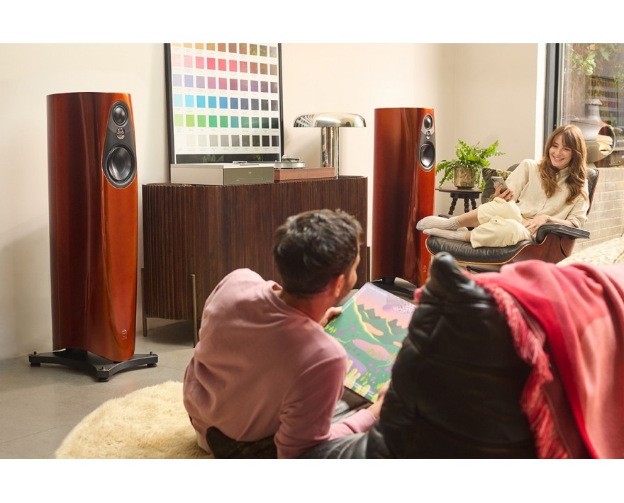 Linn 343 PWAB – finition Single Malt, en situation