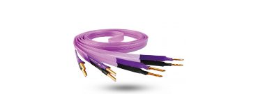 Purple Flare